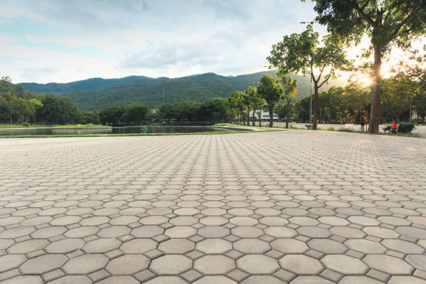 Best Commercial Driveway Pavers  in Port Salerno, FL